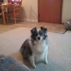 Meet your Posher, Sandy